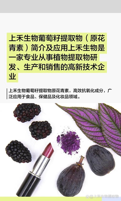 上禾生物是一家专业从事植物提取物研发,生产和销售的高新技术企业